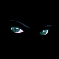 [TLDOB] PRINCE OF NIGHT Logo
