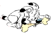 idefix x Logo