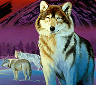 Shenzi Logo