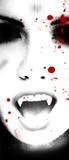 DevilishWillow Logo