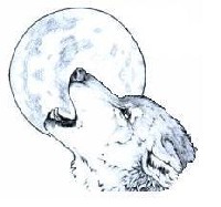 Sinde Nauro Logo