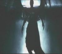 [C/C]Sephiroth Logo