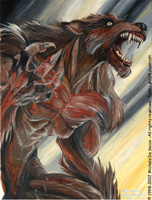 Stray Logo