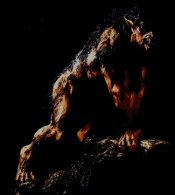 (666)Black-warrior(666) Logo