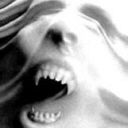 Rechinu Logo
