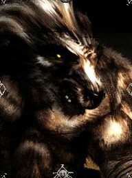 Wulfen_cz Logo