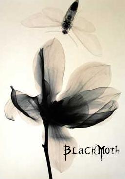 [OotCC] BlackMoth Logo