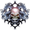 Vodolaza Logo