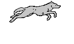 Wolven Logo