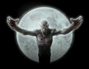 VanHelsing007 Logo