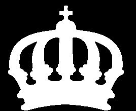 Salamon Logo
