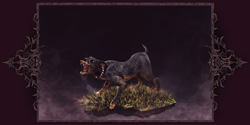 Enraged hound