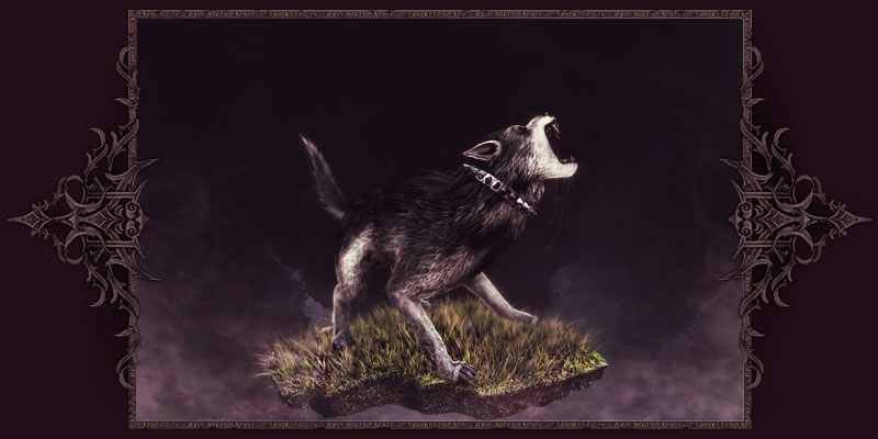 Rabid wolfhound