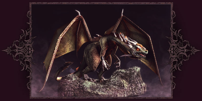 Black dragon